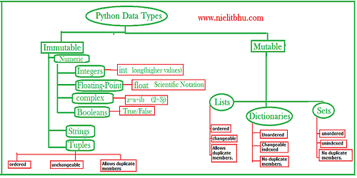 types of datatypes